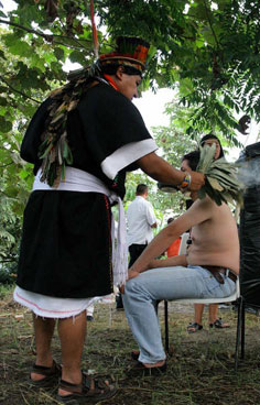 taita Saber de la medicina ancestral: La ambii uasca en la ciudad