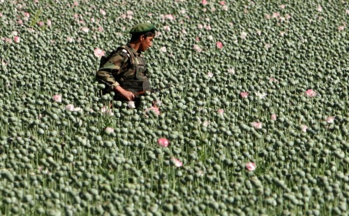 Washington elimina el concepto de “guerra contra las drogas”