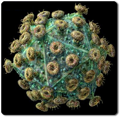 Los dueños del virus