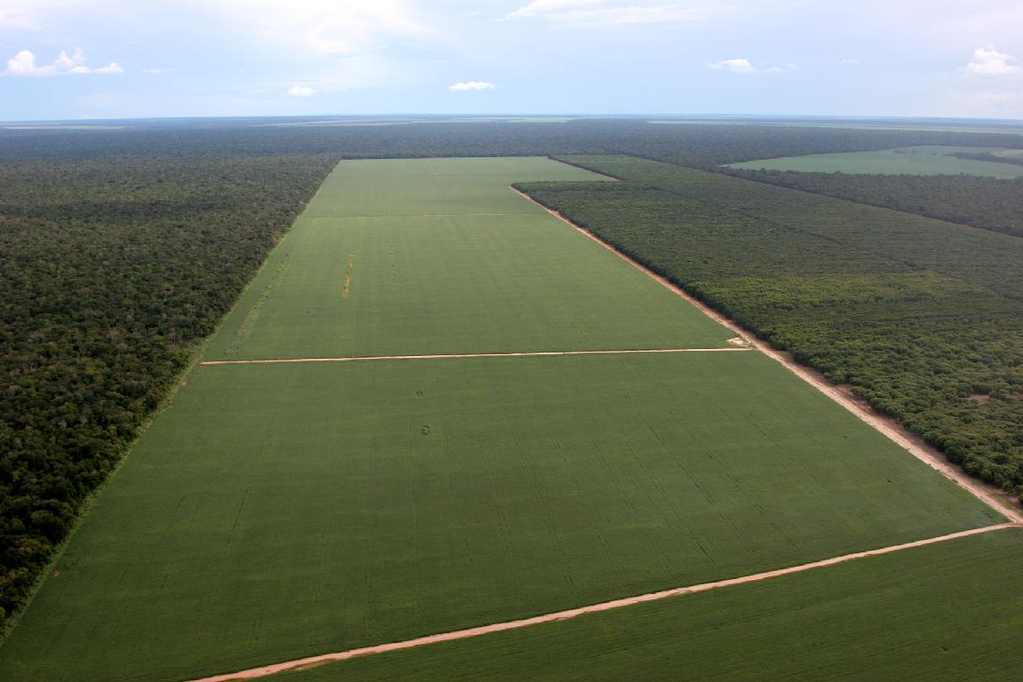 La ruta de la soja por la Amazonía