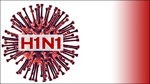 La OMS declara la pandemia de gripe