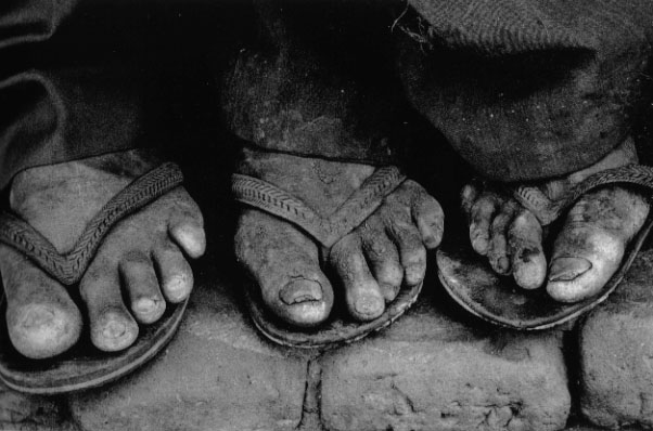 Brutal concentración de la propiedad de la tierra en Brasil, los pasados 10 años
