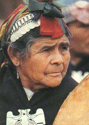 Represión progresista contra el pueblo mapuche