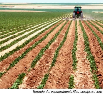 ¿Hay crisis de alimentos?