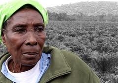 Las colombianas lideran la lucha por la restitución de la tierra