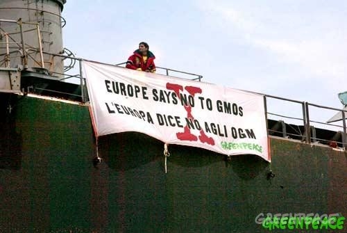El negocio de transgénicos huye de Europa por el rechazo social