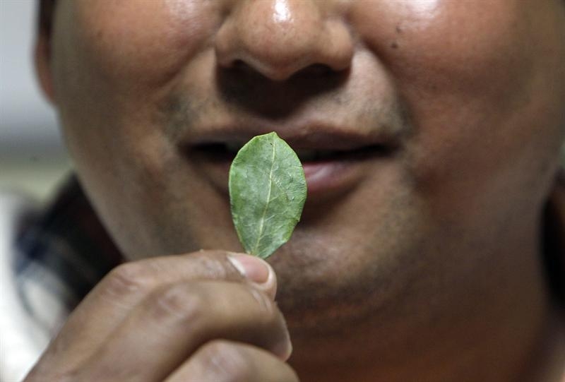 5dbd28acbb54461e775253deaa71aed7 Evo Morales defendió en la ONU el consumo y producción de la hoja de coca