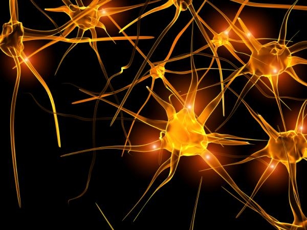 Neuronas, alcohol, marihuana, embarazos