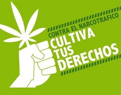 La guerra contra las drogas sólo ha creado una amenaza para la seguridad internacional: IISS