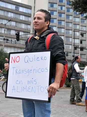 Transgénicos: caras y ojos