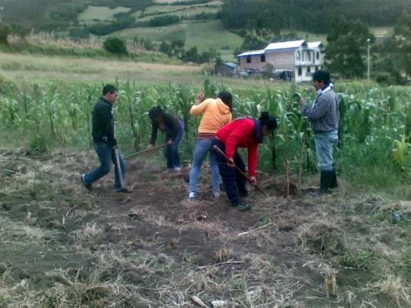 Gobierno colombiano y FARC convocan a un foro agrario en el diálogo de paz