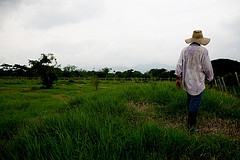 1e66f7c878a4de32dd5090de99c441a9 La tierra, epicentro del conflicto armado en Colombia
