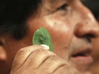 545c8f1abbc65640a9847ed721d0e733 Evo califica la legalización del acullico como un triunfo de la unidad boliviana