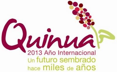 Celebra la ONU Año Internacional de la Quinua