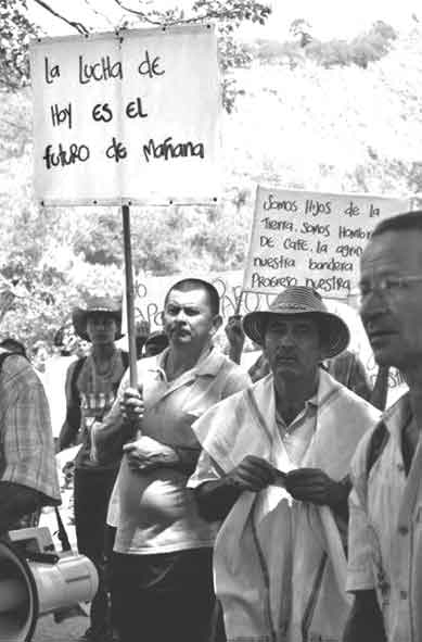 Las razones estructurales y coyunturales del paro cafetero