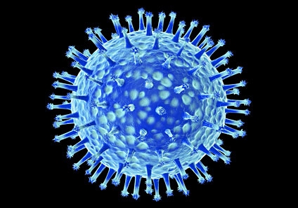 49cd5d0ee91f21289ed8a75c1238a855 Alto a la investigación con virus de gripe aviar, exigen científicos a Obama