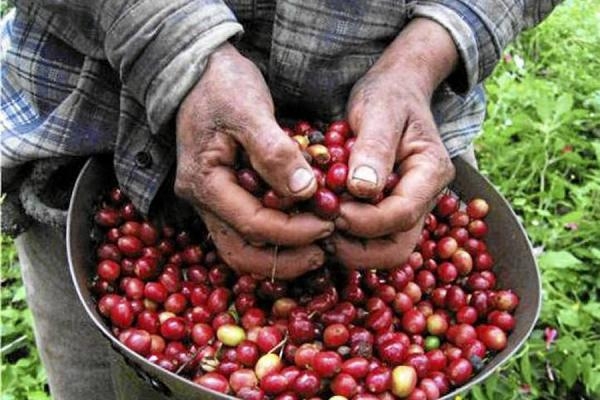Colombia: Las complejidades del Paro Nacional Agrario