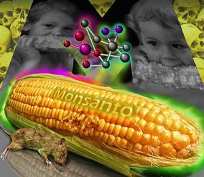 bbf69ea8d995c512ac7cf662f29044c6 Las netas del planeta Monsanto