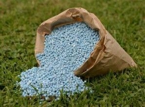 ed122eb4a22238a694edb6872e72a5e3 Colombia, campeón mundial en precio de fertilizantes