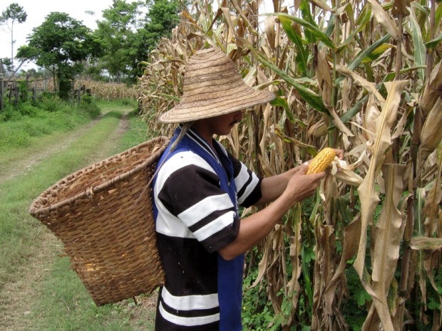 El costo institucional del problema agrario