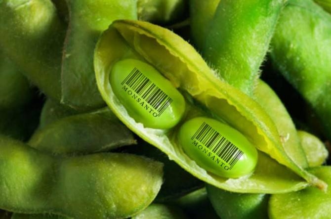 ¿Quién nos alimentará?