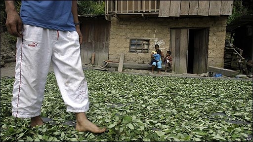 ef3684b51927633a820a03c7cba2d00d Perú supera a Colombia en superficie cultivada de coca