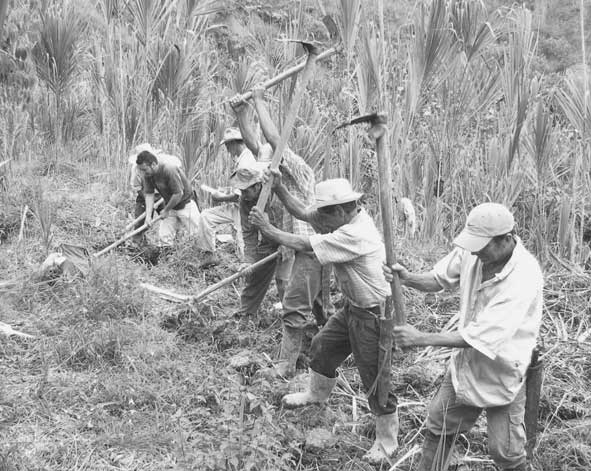 De campesinos a proletarios