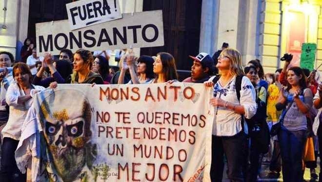 ¿Es posible derrotar a Monsanto?