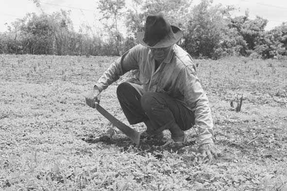 7d7d8f1f3bff0c83fc97d11f1a92e4fb Hacia la Cumbre agraria, campesina, étnica y popular