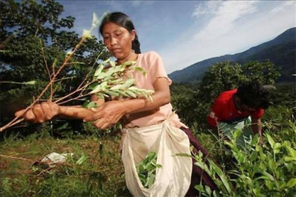 Sembradoras, brujas y luchadoras
