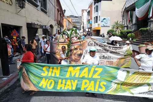 Desde la milpa se ve el mundo