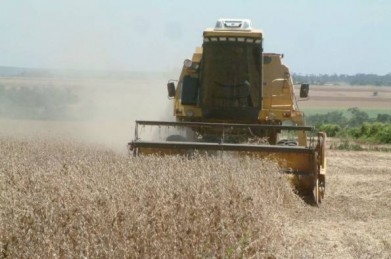Paraguay: los presos y asesinados del agronegocio