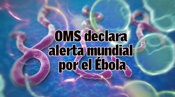 La OMS prevé hasta 10.000 infectados por ébola a la semana en África