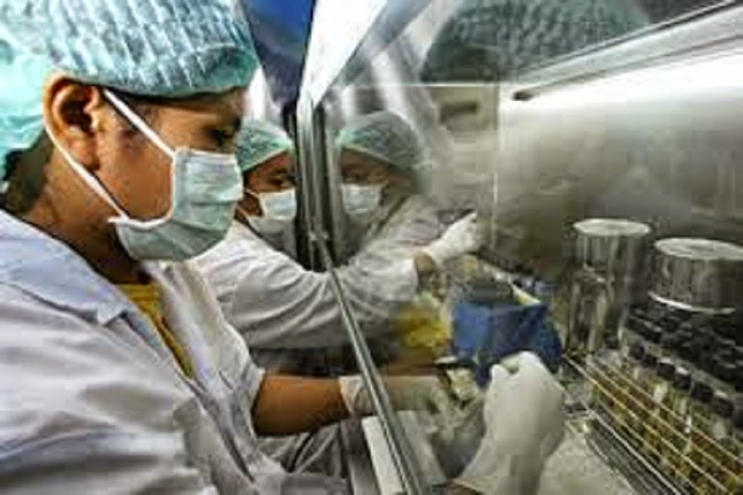 “Las epidemias son un negocio impulsado por la OMS”