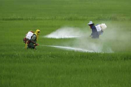 Reaparece un viejo enemigo mortal: la contaminación que no vemos