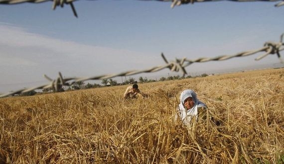 Ser campesino, otro modo de resistencia