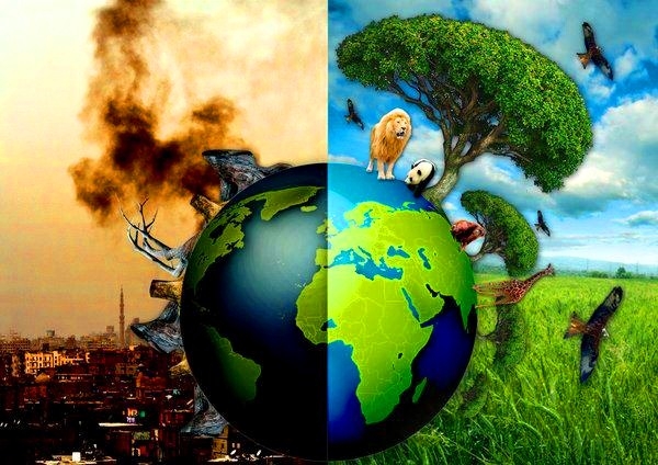 Desigualdad global y devastación