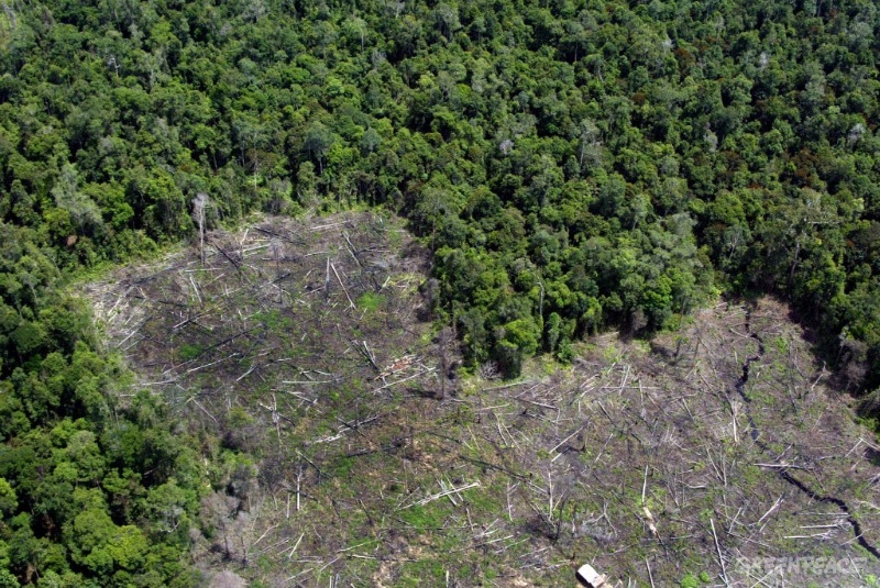 El cambio climático y la Amazonia: un grito de alarma
