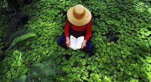 Caos global y ecología política
