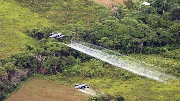 Colombia: las indecisiones del Gobierno en la política de acción contra las drogas