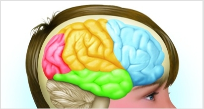 La pobreza perjudica el desarrollo del cerebro en la infancia