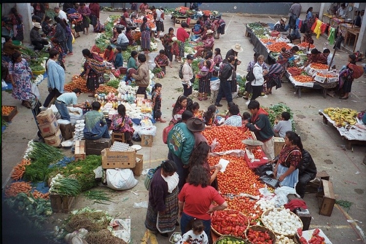 Política y nutrición