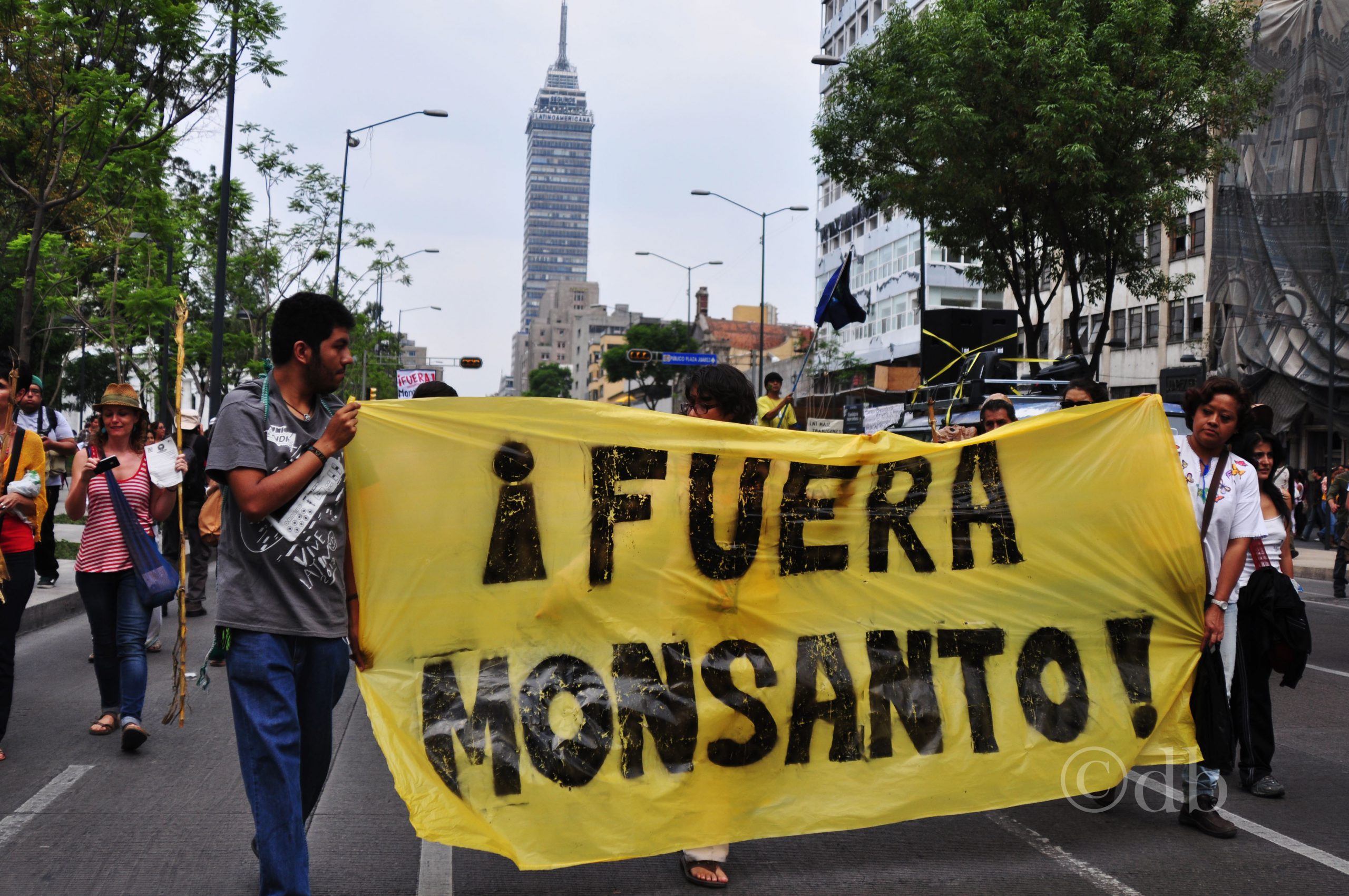 México prohíbe a Monsanto la siembra de soja transgénica