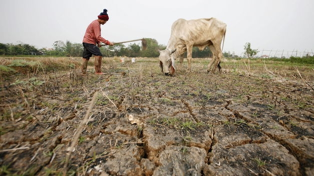 El Niño hace travesuras, pero su llanto podría ser menor a esperado