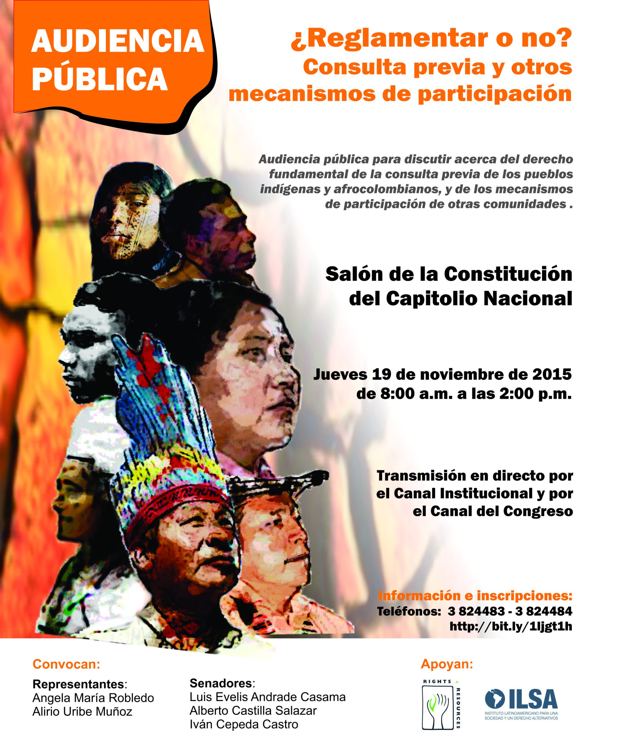 ILSA-audiencia6 AUDIENCIA PÚBLICA ¿Reglamentar o no? consulta previa y otros mecanismos de participación