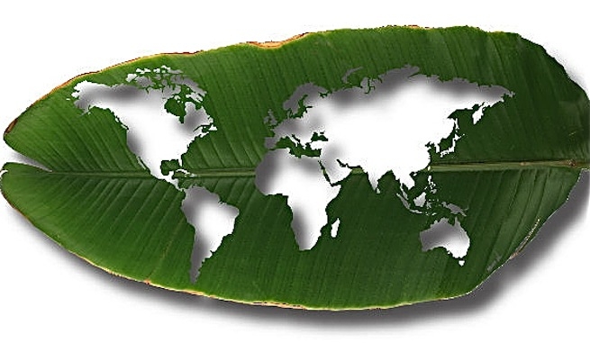 232b9a6b0cdc383a5a5ebf6ecde07e78 La criminalidad del encubrimiento climático