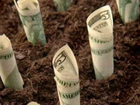 Crisis, recuperación y capital