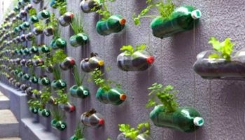 cf01c6e04462295c3ea71c37eae9a30b Los siete mayores cambios para el medio ambiente que veremos en 2016