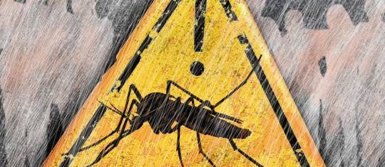 El Niño y el Zika se unen contra América