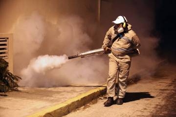 El zika ya tiene su radiografía genética